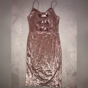 Project Runway Velvet Pale Mauve Dress